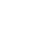 design development
